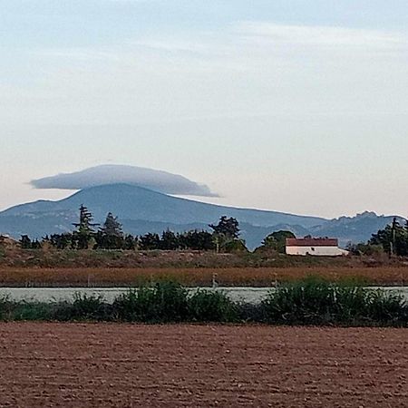 Chambre D'Hotes Les Garrigues Piolenc Exteriér fotografie