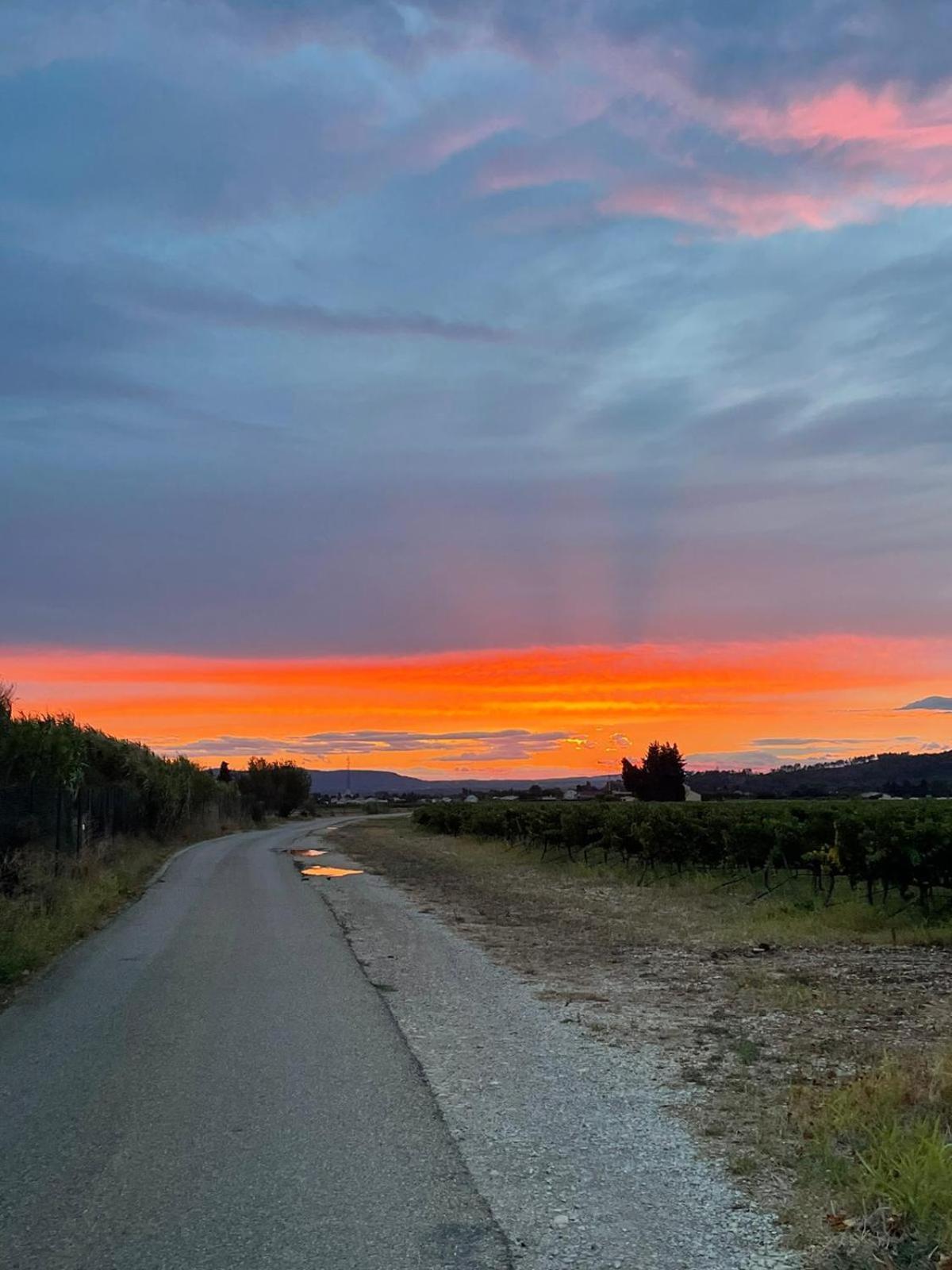 Chambre D'Hotes Les Garrigues Piolenc Exteriér fotografie